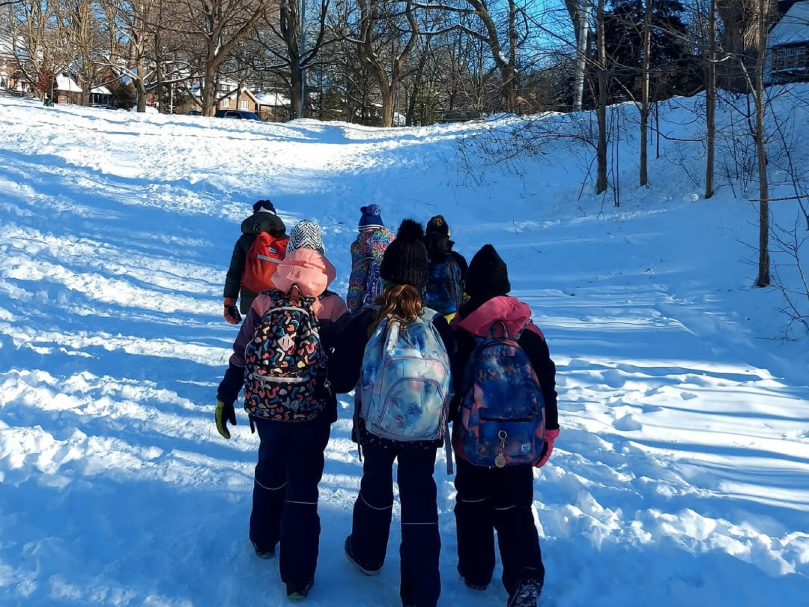 Toronto Nature School (Camps) banner