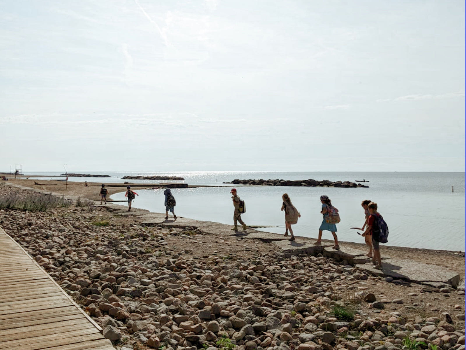 Toronto Nature School (Classes) banner